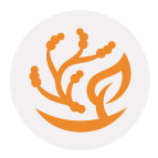 icon-bio-fungicida