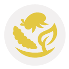 icon-bio-insecticida
