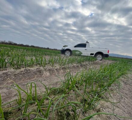 WhatsApp Image 2025-08-21 at 12.38.34 PM (1)