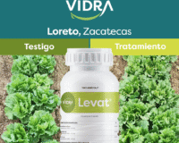 Levat®: Fijador biológico de nitrógeno, para tener unos cultivos más vigorosos y activos.