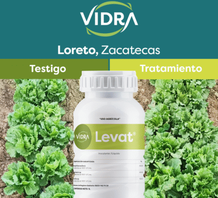 HITAZO-BIOACTIVADORES-VS-CUAD