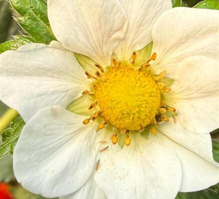 cf6c5a21-2b12-4446-86ce-7fed8ae09e13