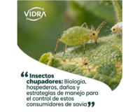 Insectos chupadores: Biología, hospederos, daños y estrategias de manejo para el control de estos consumidores de savia