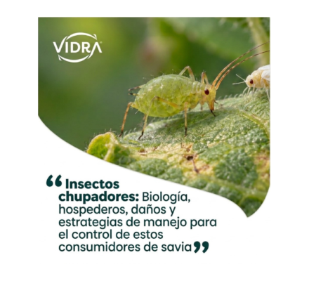 Portada Insectos Chupadores